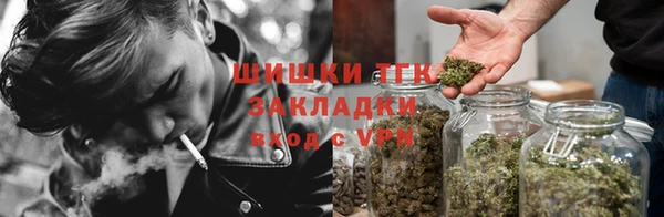 2c-b Иннополис