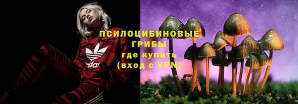 2c-b Иннополис
