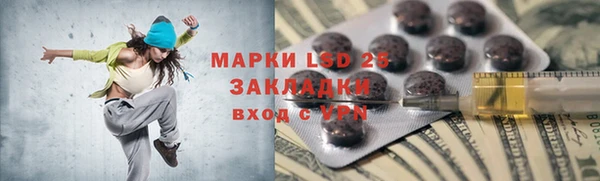spice Инта