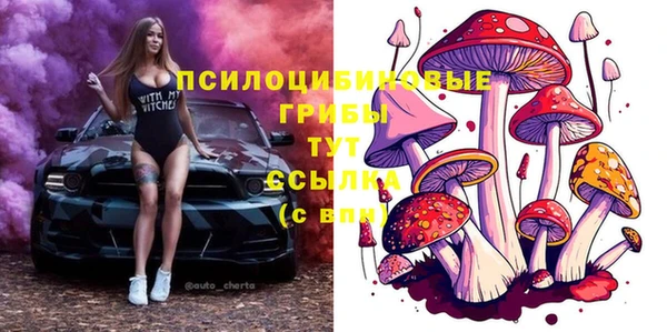 spice Инта