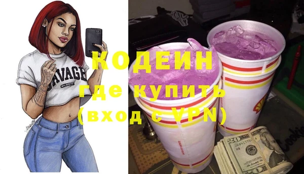spice Инта