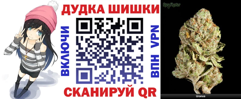 Шишки марихуана ГИДРОПОН  Купить закладки  Няндома 